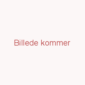 Kulturel Indflydelse Østfra